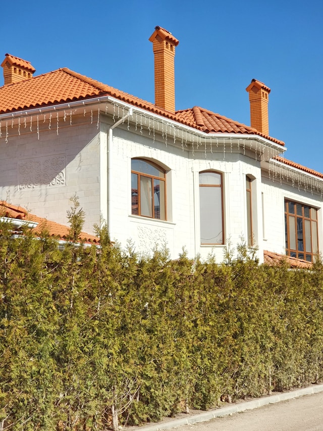 Luxury Villa